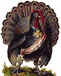 A Turkey, Happy Thanksgiving